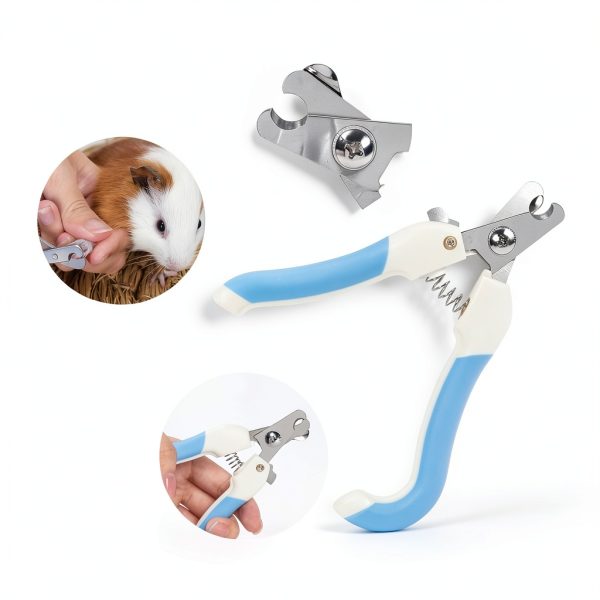 Small Animal Brush Pet Supplies Soft Bristle-3