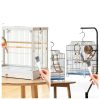 URSKYTOUS Bird Cage Cleaner Brush Scraper Plastic Metal-6