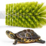 Turtle Shell Brush Nilioerup ABS Nylon Design-0