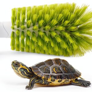 Turtle Shell Brush Nilioerup ABS Nylon Design-0