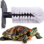 Turtle Brush NYYYSM Silicone Suction Cup Pet Care-0