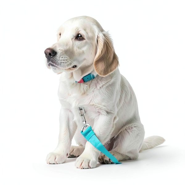 Small Animal Brush Pet Supplies Soft Bristle-6