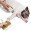 Pig Self Cleaning Brush MiOYOOW Soft Bristles-1