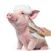 Pig Self Cleaning Brush MiOYOOW Soft Bristles-5