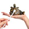 Alfyng Turtle Cleaning Brush Suction Cup TPR Material Pet-3