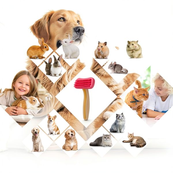Soft Silicone Pet Brush CLLGrocery Small Groomer-6