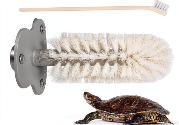 Alfyng Turtle Cleaning Brush Suction Cup TPR Material Pet-0