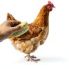 Chicken Feather Brush Pavo Small Animal Groomer-0