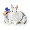 Rabbit Grooming Brush YOLUFER Small Animal Set-6