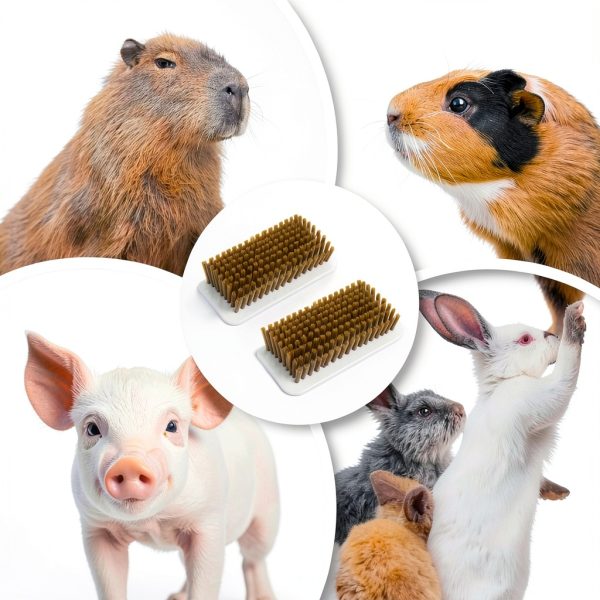 Pig Self Cleaning Brush MiOYOOW Soft Bristles-6