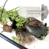 Alfyng Turtle Cleaning Brush Suction Cup TPR Material Pet-5