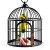 Bird Cage Brush Cleaner Sinbana Stainless Steel-6
