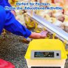 48 Egg Incubator Sailnovo with Auto Turner and Humidity Display-6