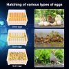 48 Egg Incubator Sailnovo with Auto Turner and Humidity Display-5