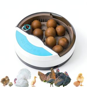 Egg Incubator Lreerge 9-Egg with LED Candling and One-Key Temp Control-0
