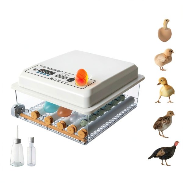 16Egg Incubator with Automatic Egg Turning and Humidity Control, Incubators for Hatching Eggs, Chicken, Ducks, Goose, Pigeon, Quail, Parrot Incubator for Farm, Lab, Science Classroom, Home-0