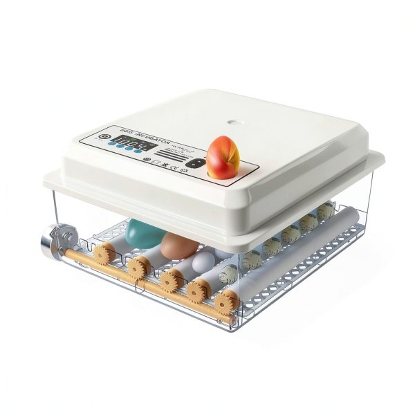 16Egg Incubator with Automatic Egg Turning and Humidity Control, Incubators for Hatching Eggs, Chicken, Ducks, Goose, Pigeon, Quail, Parrot Incubator for Farm, Lab, Science Classroom, Home-2