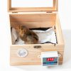 Smart Temperature Controlled Incubator NASIDE Warmth Easy Clean-3